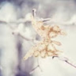 Meet your Posher, Tay